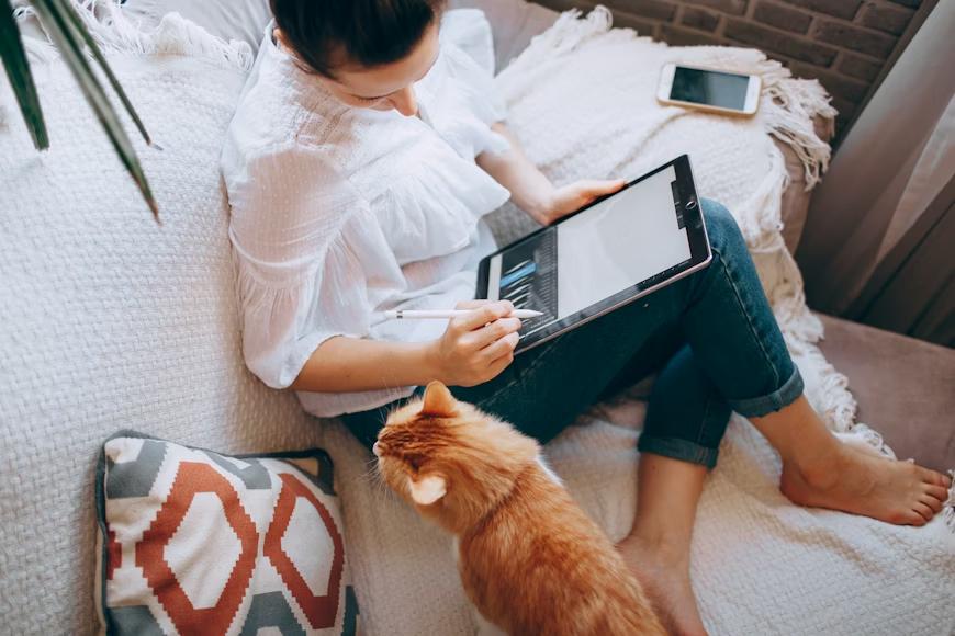 A person designing on their tablet next to their cat